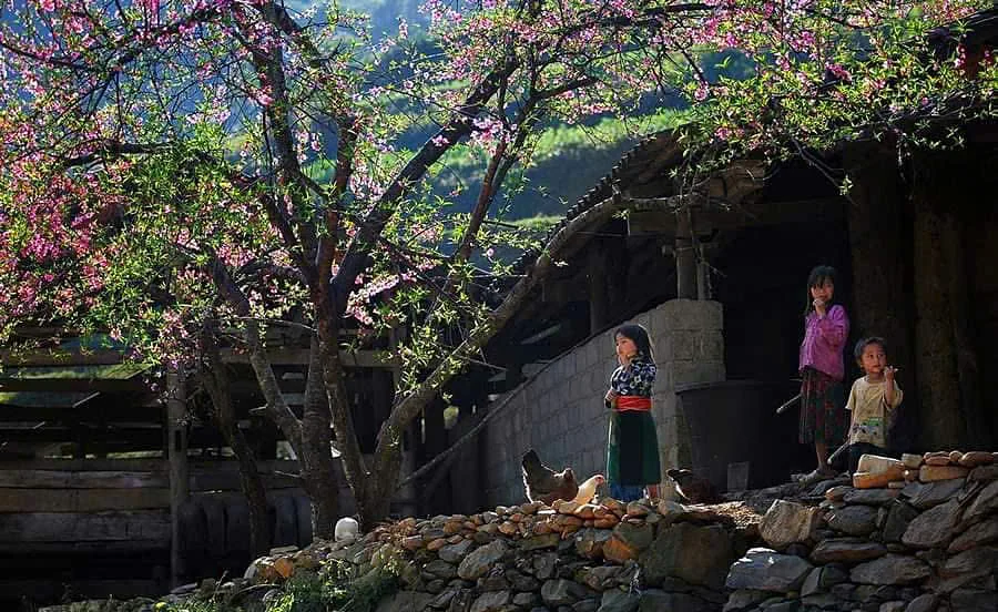 Duong Thuong Valley
