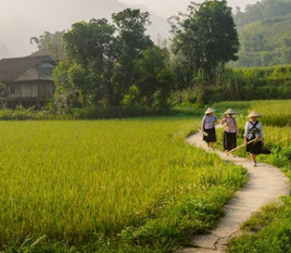 Tay family homestay in Du Gia